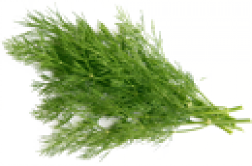 Кріп