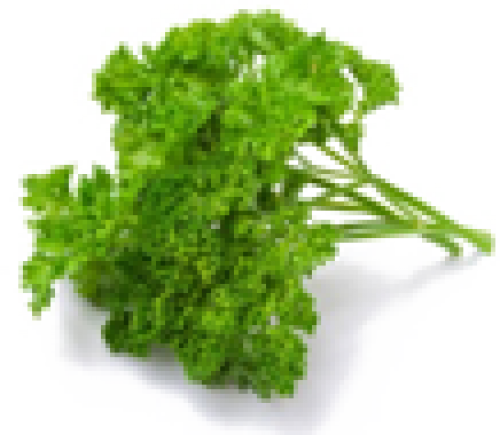 Петрушка