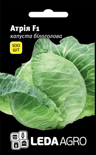 1197