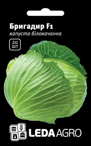 1286