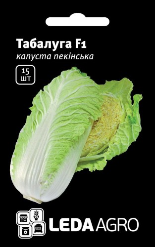 151