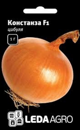 1563