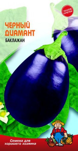 252_big