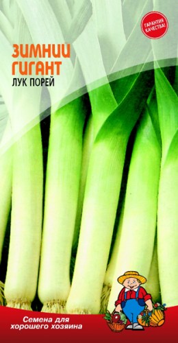 Лук Ялтинский