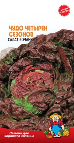 Салат ЧУДО 4-х СЕЗОНОВ – 3 г