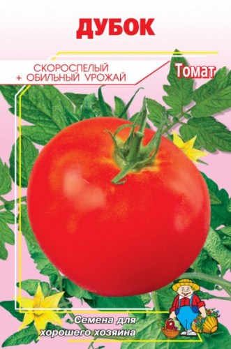 томат дубок
