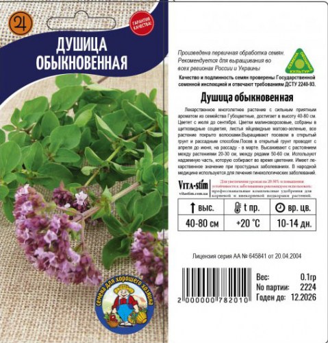 душица обыкновенная