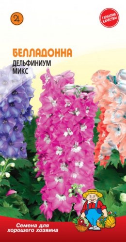 ДЕЛЬФИНИУМ «БЕЛАДОННА» (смесь, многолетник)