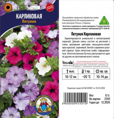 ПЕТУНИЯ КАРЛИКОВАЯ