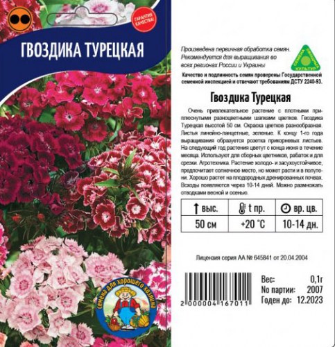 ГВОЗДИКА ТУРЕЦКАЯ