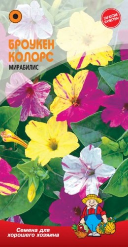 МИРАБИЛИС «БРОУКЕН КОЛОРС»
