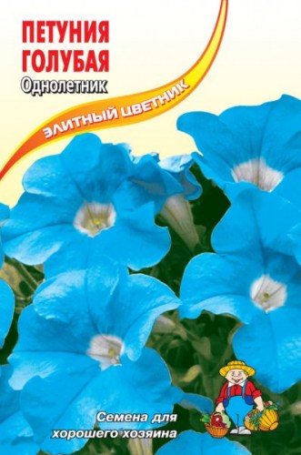 ПЕТУНИЯ ГОЛУБАЯ