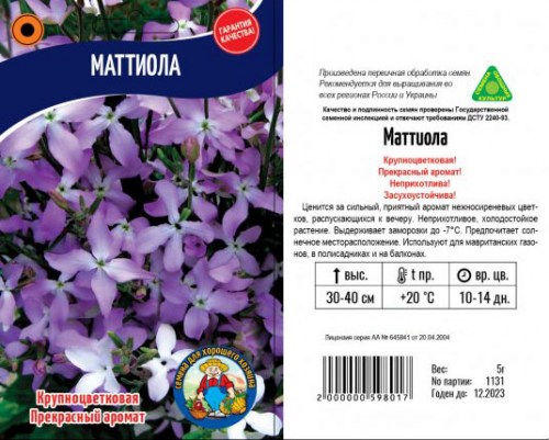 маттиола