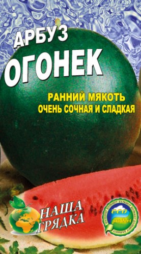Арбуз Огонек