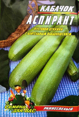 Кабачок Чаклун