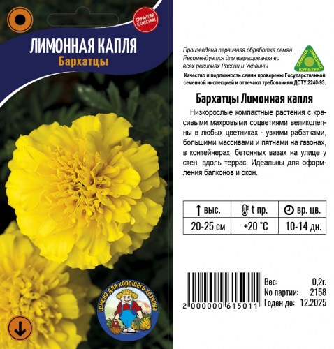 Бархатцы Кармен