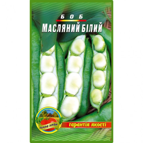 Квасоля Боб Масляний Білий