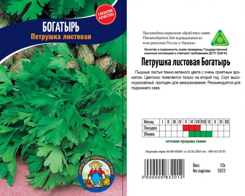 bogatyr2