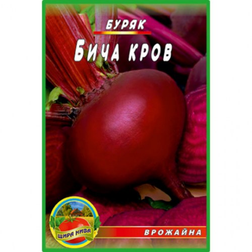 Буряк Бича кров