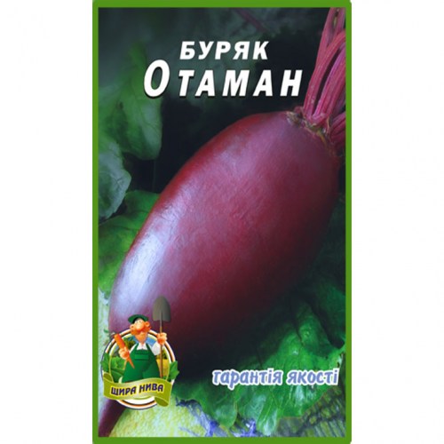 Свекла Атаман
