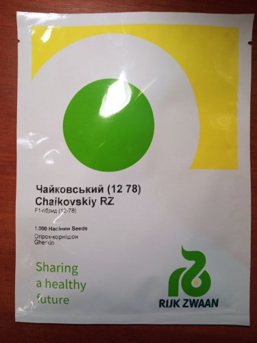 chajkovskij8
