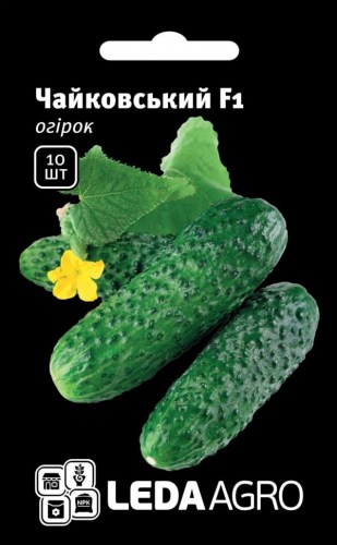 chajkovskij