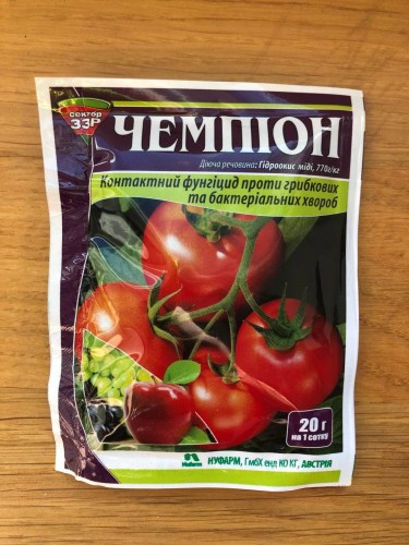chempion8