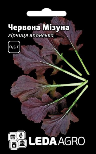 chervona-mizuna-girchitsa