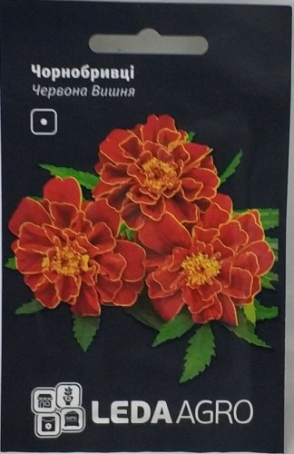 chornobrivtsi-chervona-vishnya-025g-17600663042762
