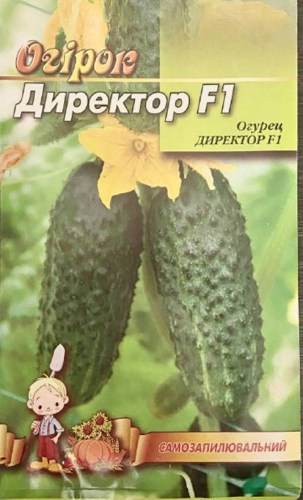 direktor3