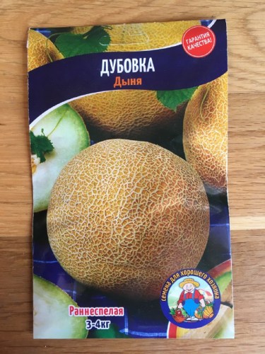 Дыня Дубовка