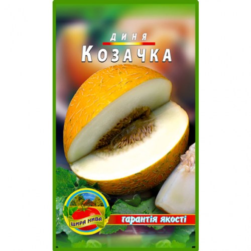 Диня Козачка