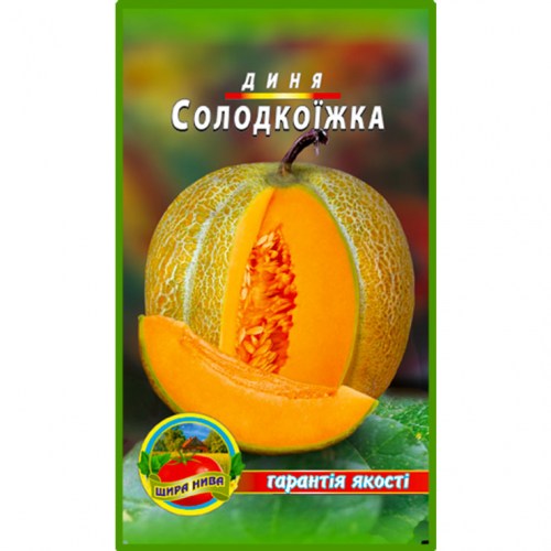 Диня Солодкоїжка
