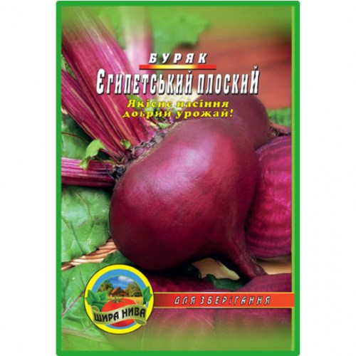 Свекла Египетская плоская