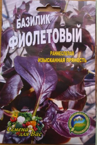 Базилик Фиолетовый
