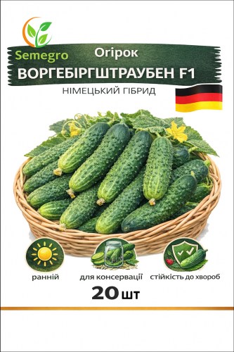 Огірок Воргебіргштраубен F1