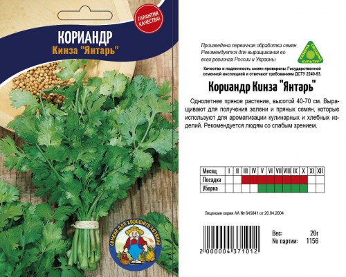 Кинза