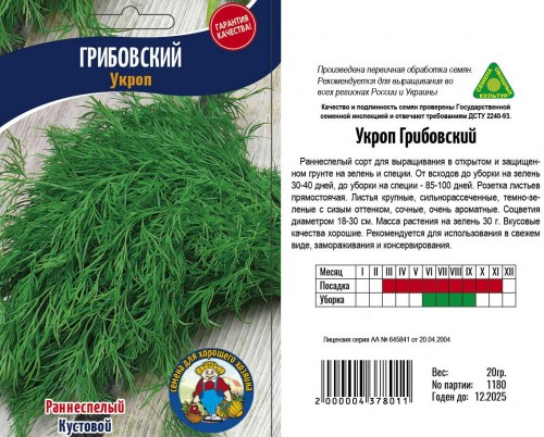 Укроп Грибовский