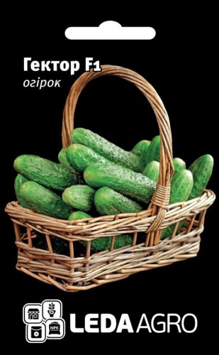 gektor9