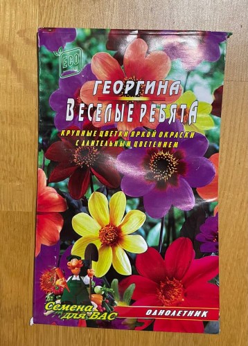 Георгина Веселые ребята