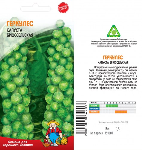 gerkules5