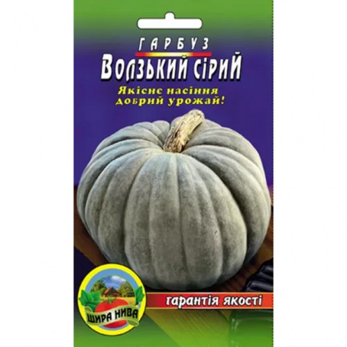 Гарбуз Волзький Сірий