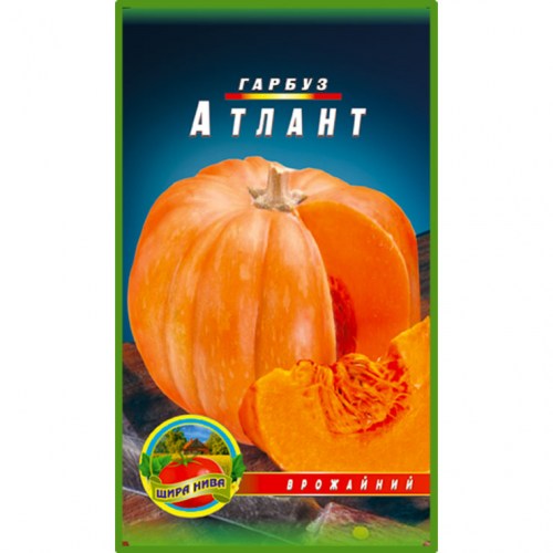 Гарбуз Атлант