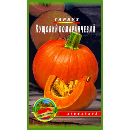 Гарбуз Кущовий помаранчевий