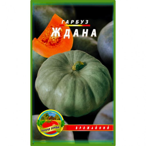 Гарбуз Ждана