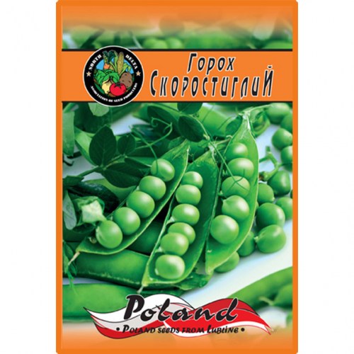 Горох Скоростиглий (Польша)