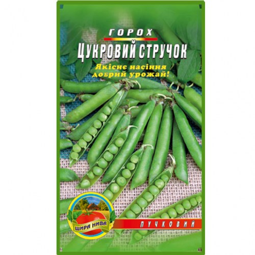 horokh-tsukrovyj-struchok
