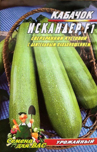 Кабачок Искандер F1