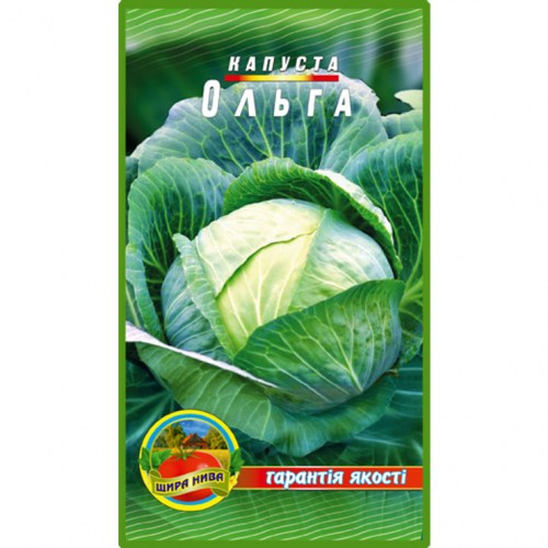 Капуста Ольга - 3гр.