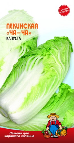 kapusta-pekinskaya-cha-cha